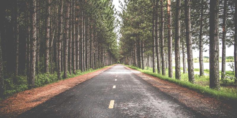 托斯蒂软件12:引领数字化转型的软件开发与IT解决方案专家