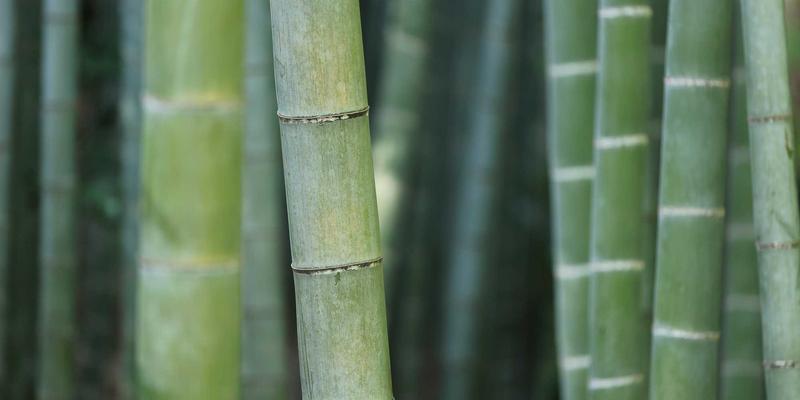 托斯蒂软件28：以专业技术服务与咨询，驱动企业数字化转型的IT解决方案专家