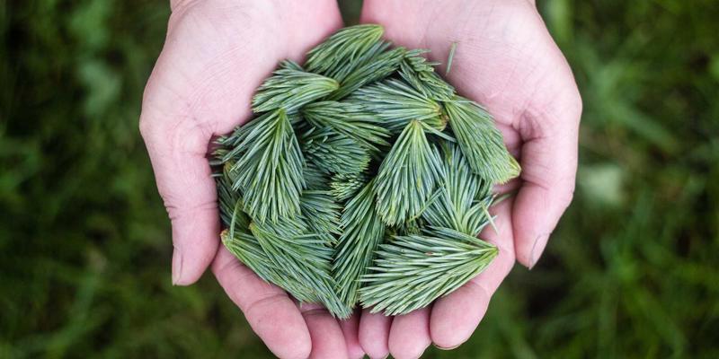 托斯蒂软件34:以技术咨询与定制服务驱动企业数字化转型