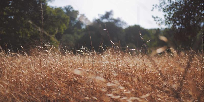 托斯蒂软件85：以定制软件、系统集成与技术咨询驱动企业数字化转型