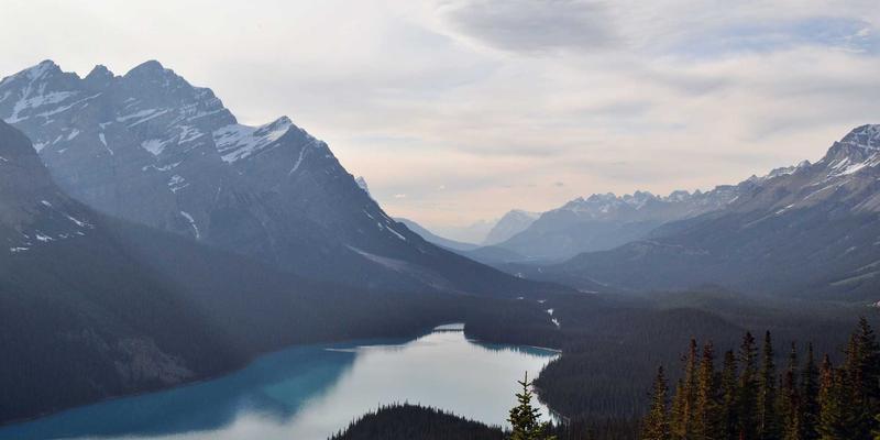 托斯蒂软件99:引领数字化转型的IT解决方案与系统集成专家