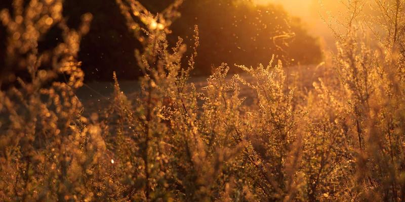 托斯蒂软件ERP系统：定制化IT解决方案如何重塑企业资源管理效率