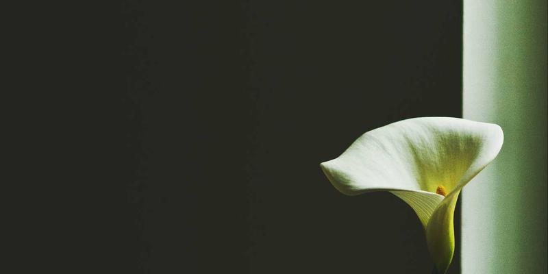 托斯蒂软件：以定制化软件开发与技术咨询赋能汽车零部件行业MES解决方案