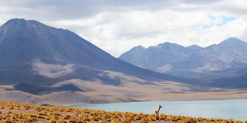 托斯蒂软件：以自动化数据采集技术服务，重塑生产报表的准确性与时效性