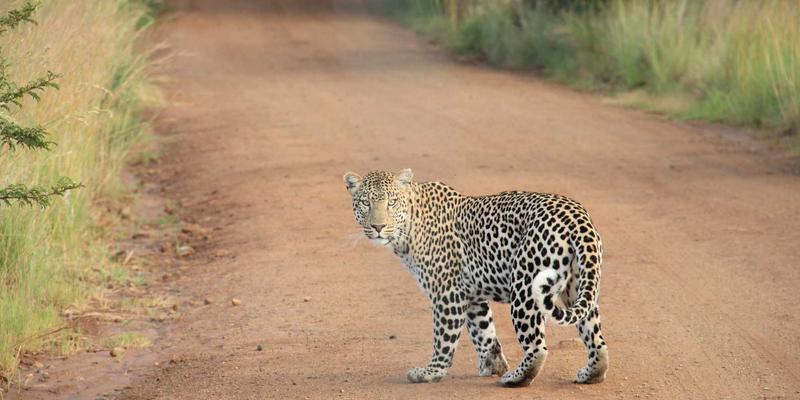 托斯蒂软件:定制化解决方案与技术咨询如何驱动企业数字化转型
