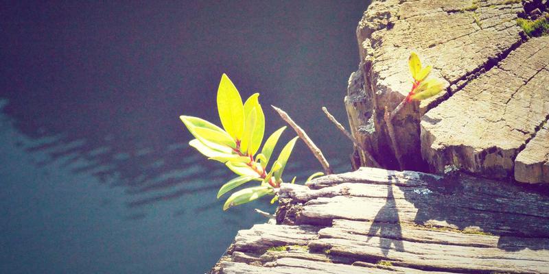 托斯蒂软件的数据分析模块：如何通过定制软件驱动生产流程优化与成本降低