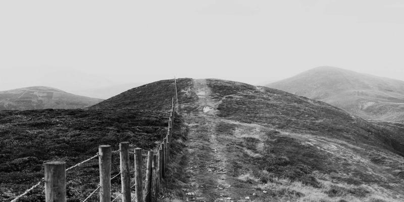 技术咨询与软件开发如何重塑供应链？托斯蒂软件的核心优势与应用案例解析