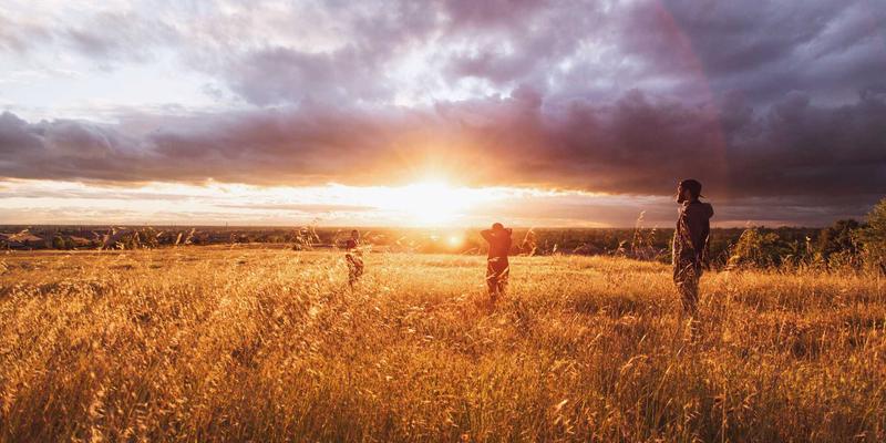 技术服务驱动变革：托斯蒂WMS如何通过IT解决方案实现仓库精细化管理与效率跃升